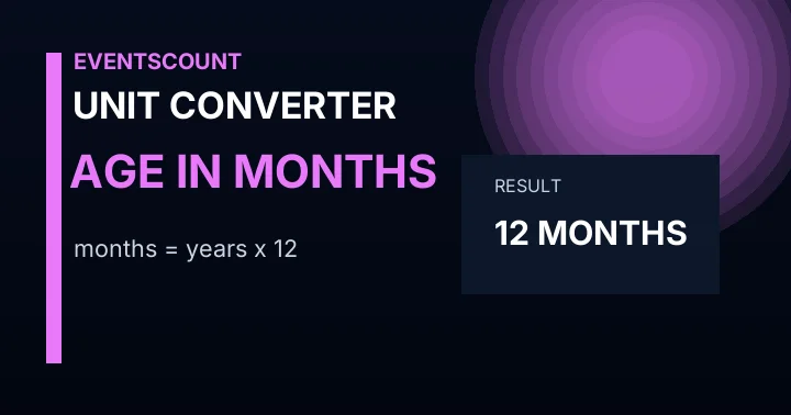 Age in Months Converter