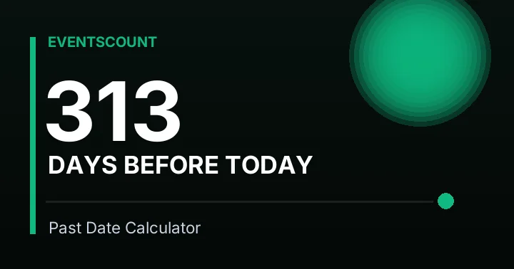 313 Days Before Today